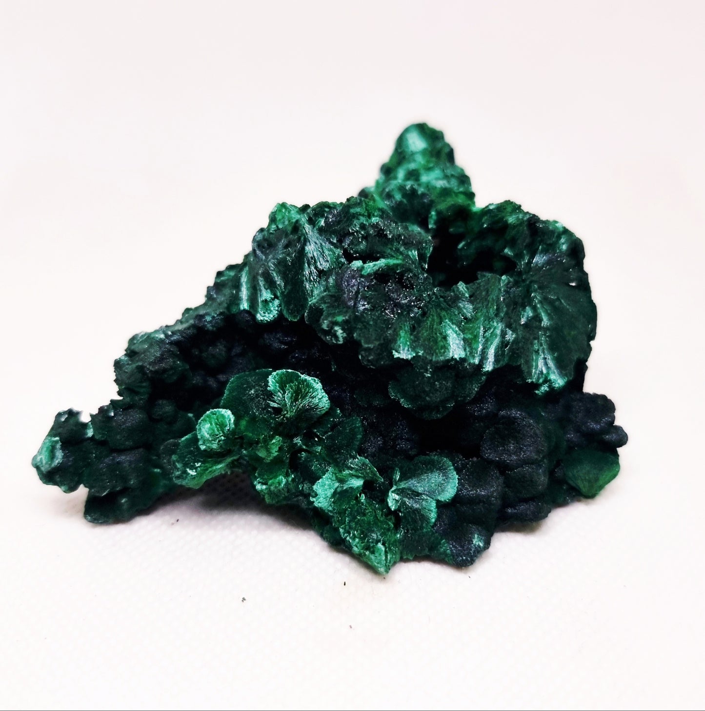 SILKY MALACHITE SPECIMEN ( 182 g ) - WEALTH