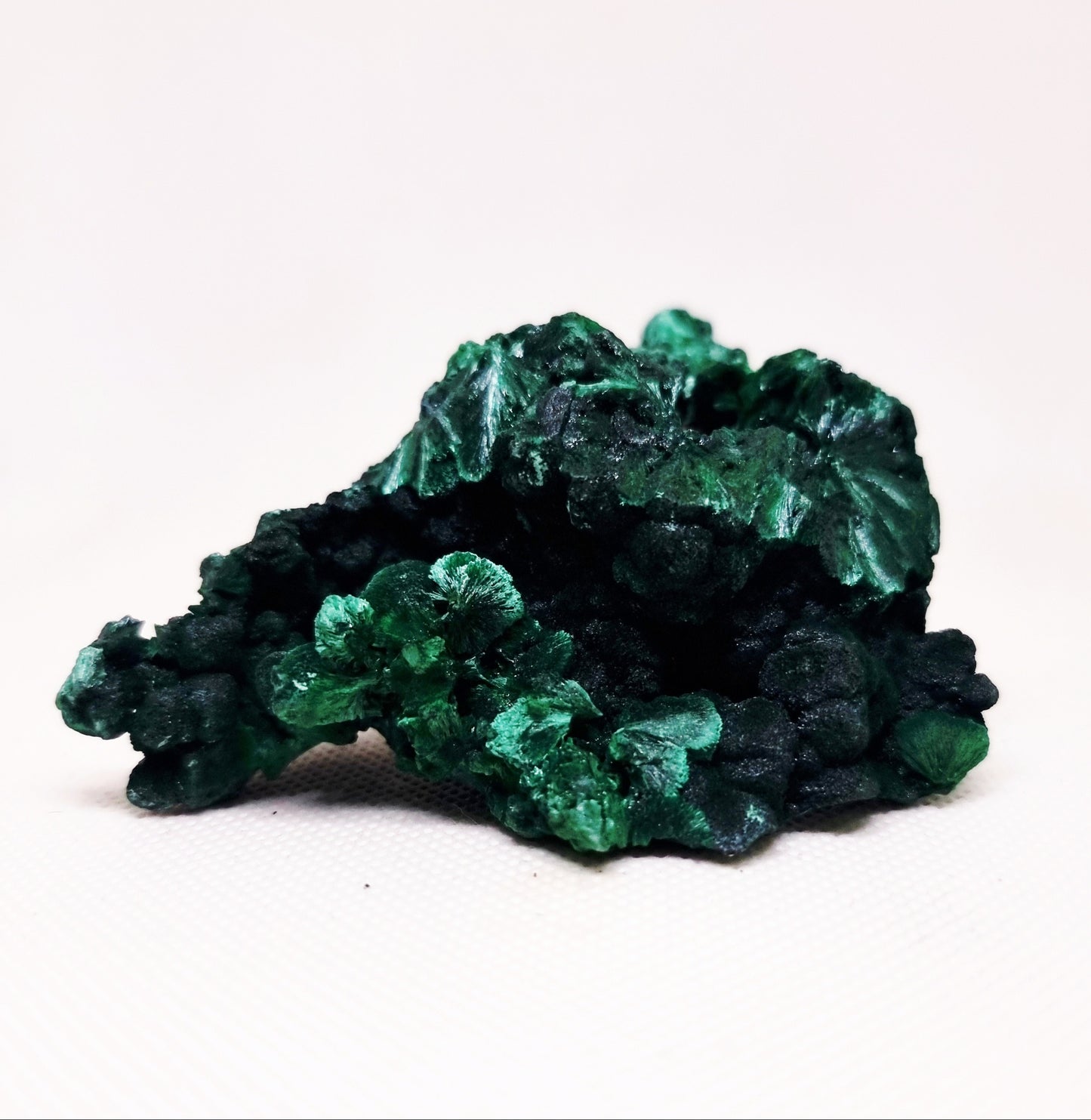 SILKY MALACHITE SPECIMEN ( 182 g ) - WEALTH