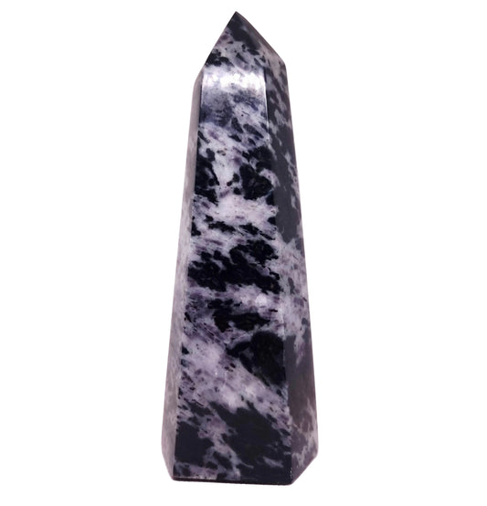 MERLINITE (GABBRO) POLISHED TOWER 19 cm - INTUITION