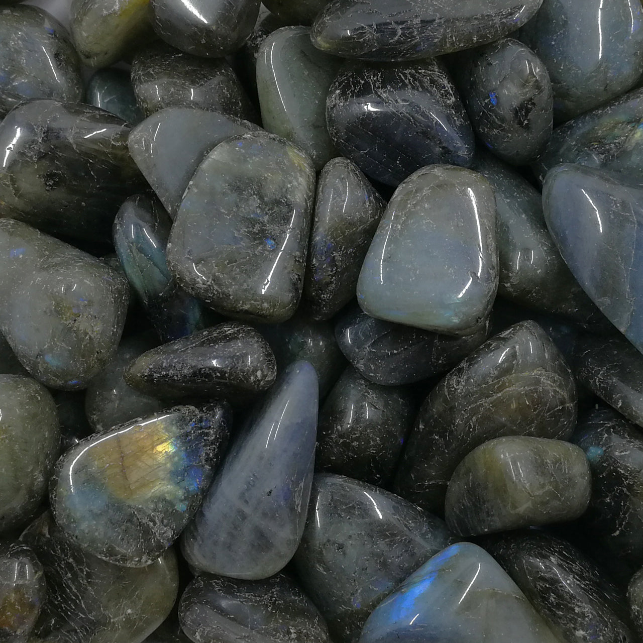 LABRADORITE TUMBLED POCKET STONE - GROUNDING