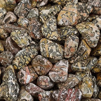 LEOPARD SKIN JASPER POCKET STONE - COURAGE