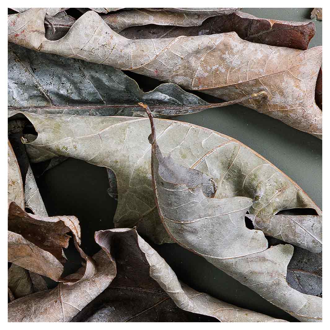 GREY GREEN LEAVES MONOCHROMATIC NAPKIN