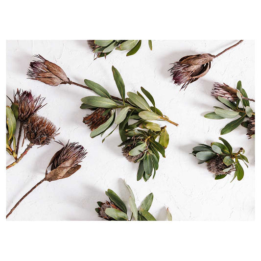 SCATTERED DRIED PROTEA WITH GREEN LEAVES TEA TRAY