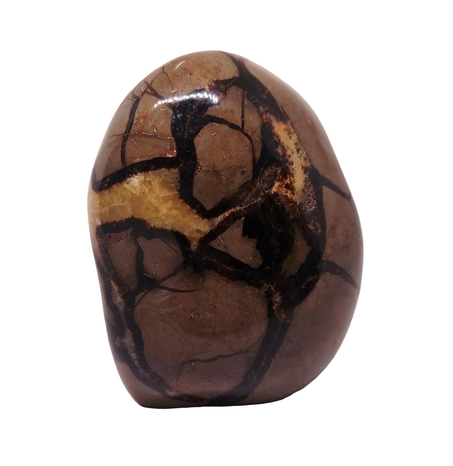SEPTARIAN POLISHED FREEFORM 2.06 kg - ANCIENT WISDOM