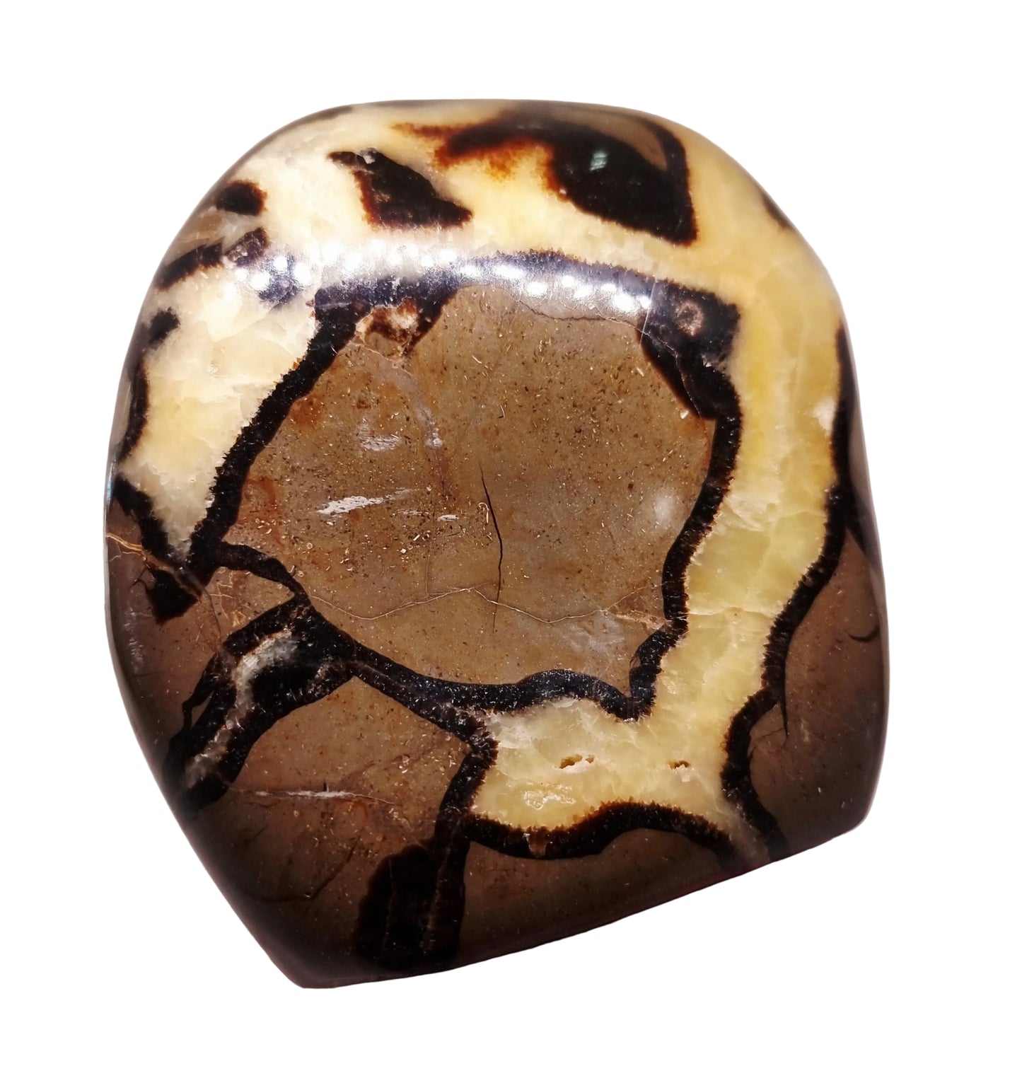 SEPTARIAN POLISHED FREEFORM 2.06 kg - ANCIENT WISDOM