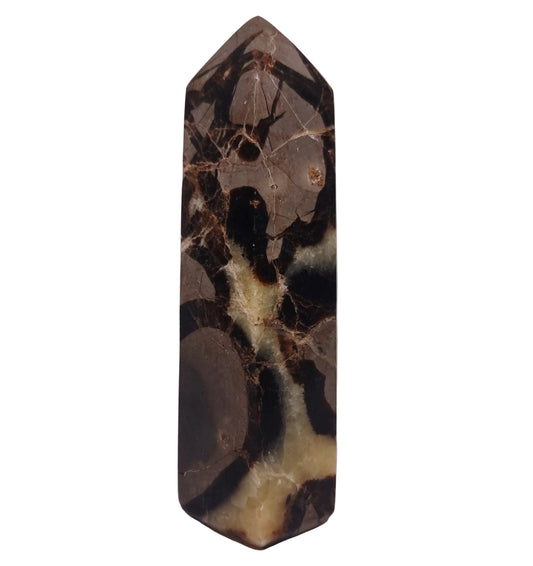 SEPTARIAN POLISHED TOWER 813 g - ANCIENT WISDOM