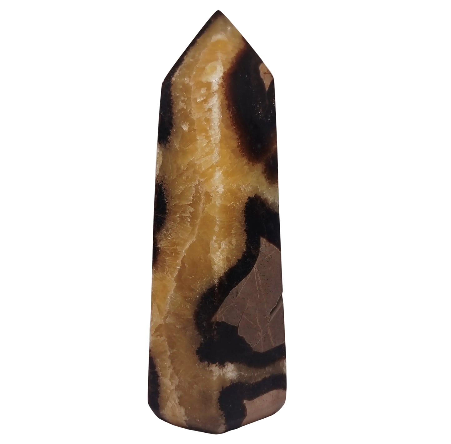 SEPTARIAN POLISHED TOWER 1.1 kg - ANCIENT WISDOM