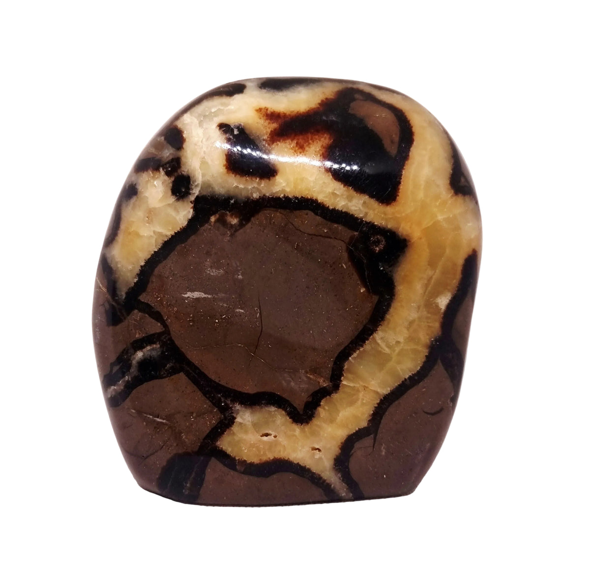 Septarian Polished Freeform 2.06 Kg - Wildlings Crystals South Africa
