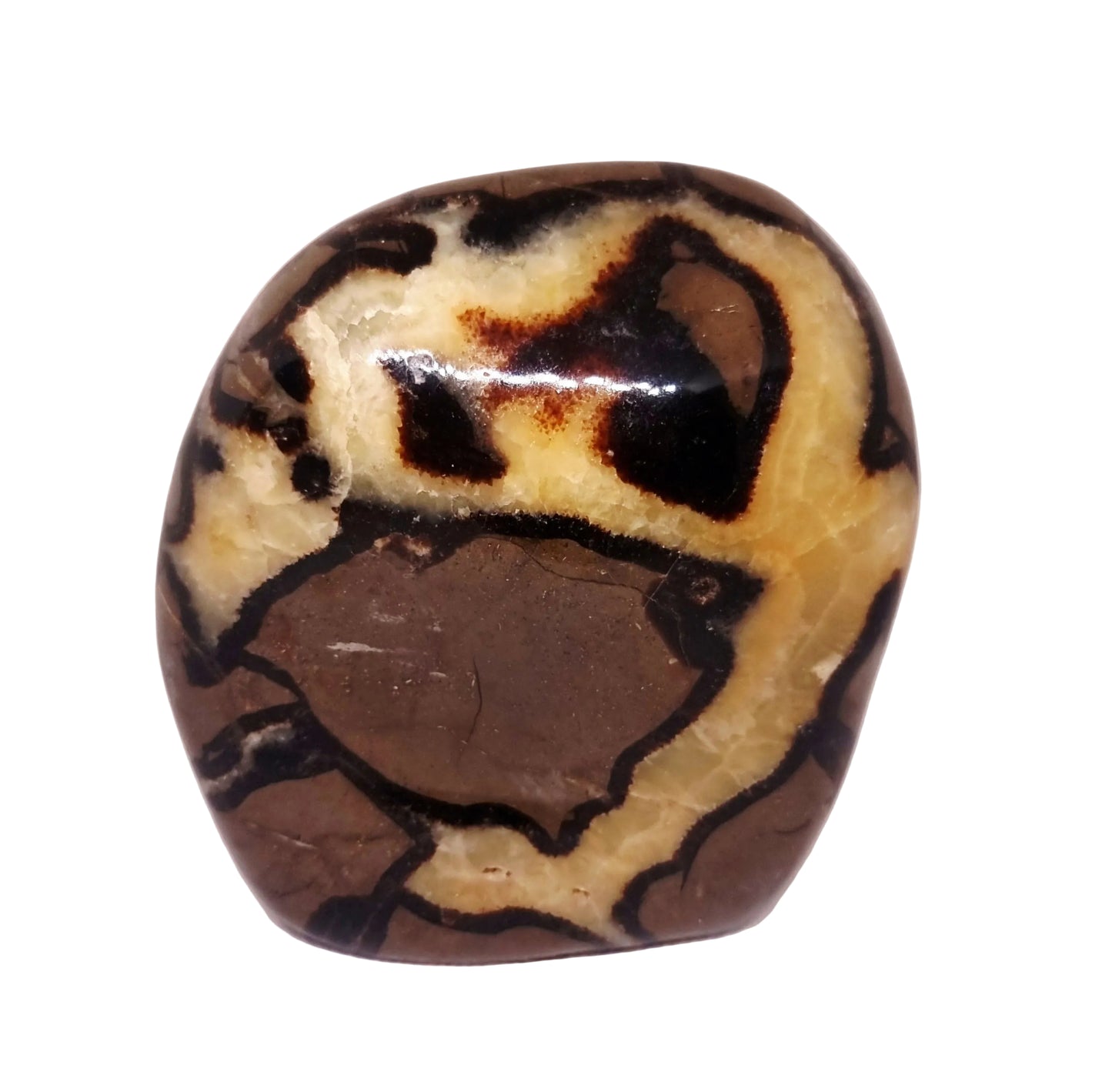 SEPTARIAN POLISHED FREEFORM 2.06 kg - ANCIENT WISDOM