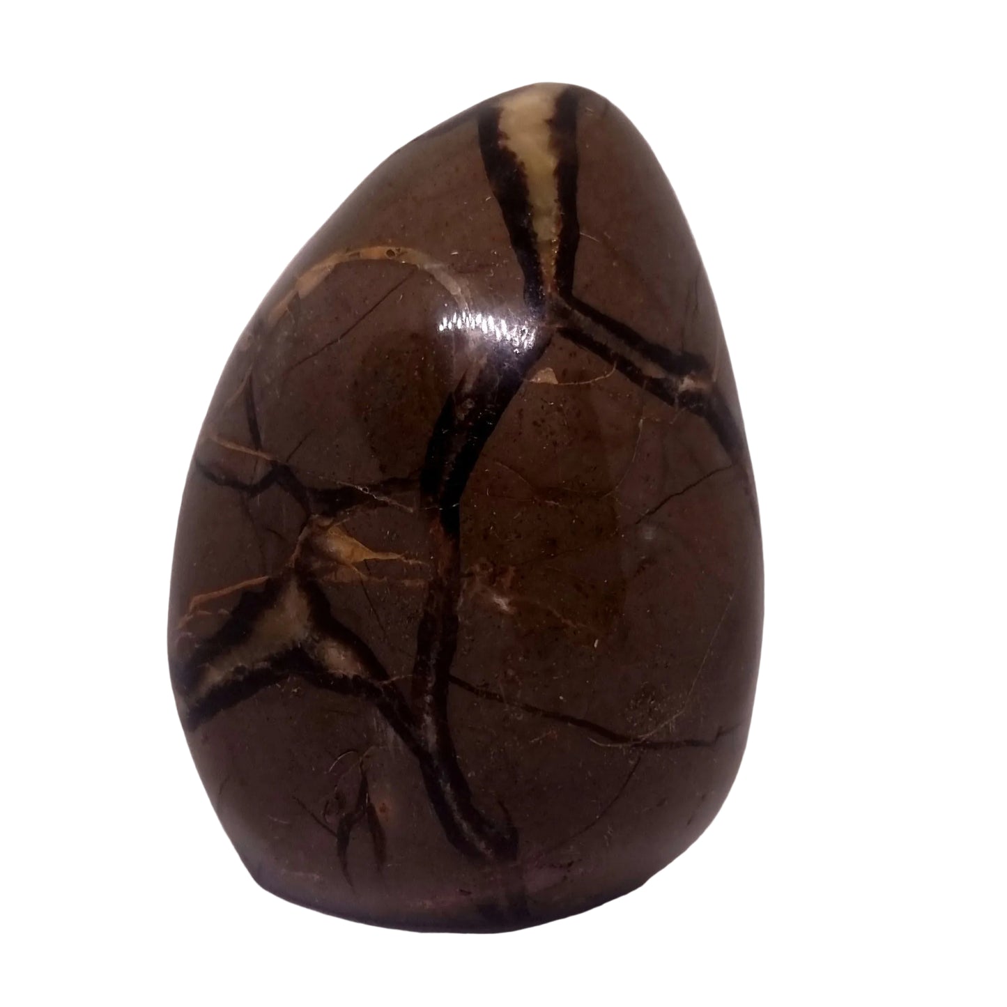 SEPTARIAN POLISHED FREEFORM 1.95 kg - ANCIENT WISDOM