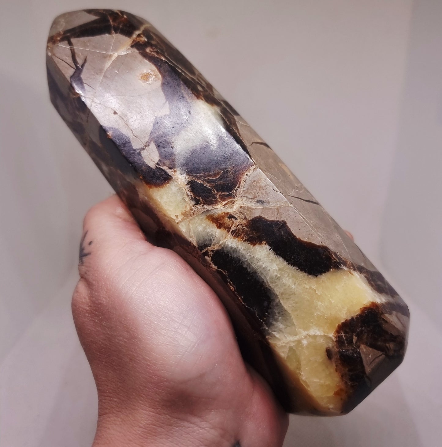 SEPTARIAN POLISHED TOWER 813 g - ANCIENT WISDOM