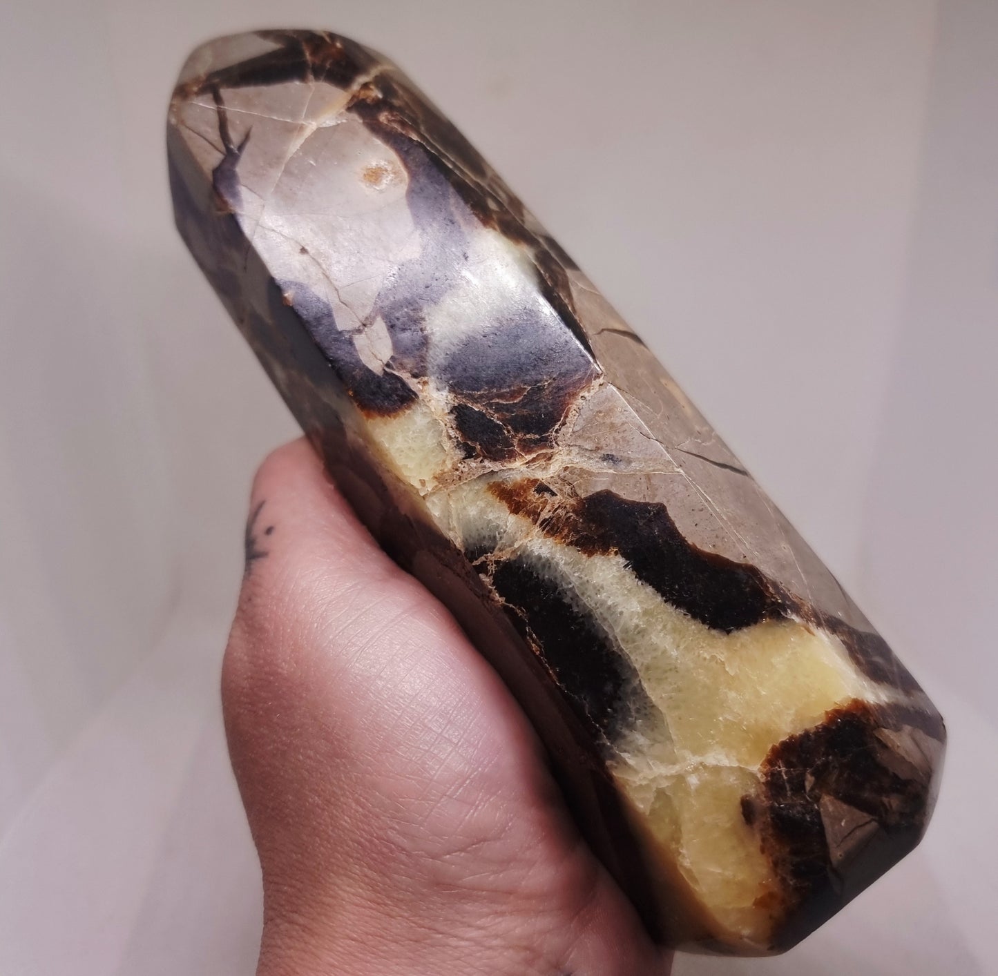SEPTARIAN POLISHED TOWER 813 g - ANCIENT WISDOM
