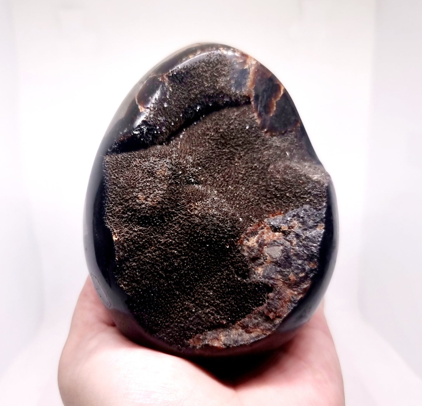 SEPTARIAN DRAGON EGG POLISHED 897 g - SHAMANIC HEALING