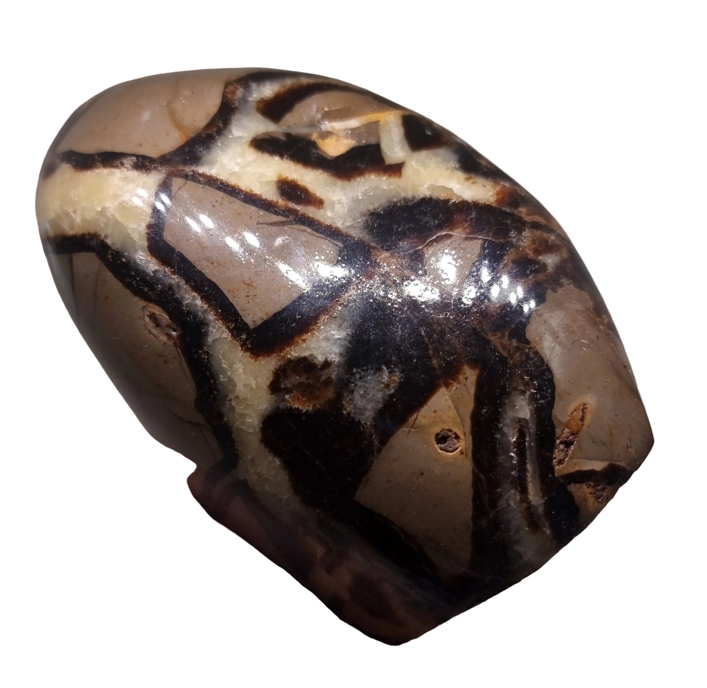 SEPTARIAN POLISHED FREEFORM 1.95 kg - ANCIENT WISDOM