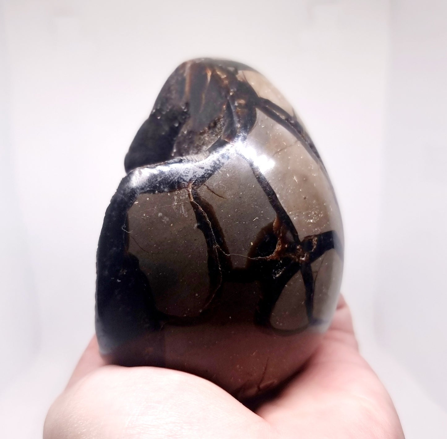 SEPTARIAN DRAGON EGG POLISHED 897 g - SHAMANIC HEALING