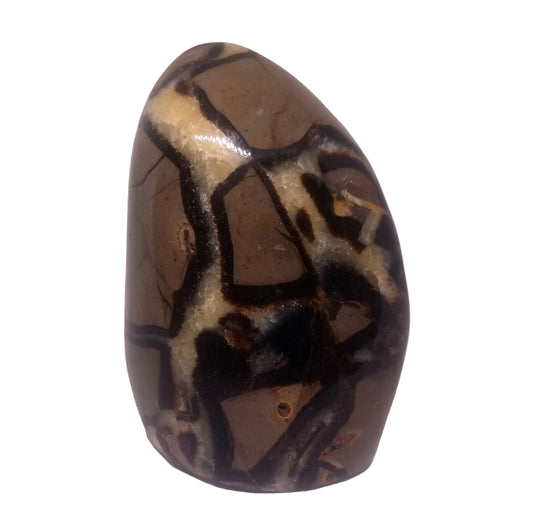 SEPTARIAN POLISHED FREEFORM 1.95 kg - ANCIENT WISDOM