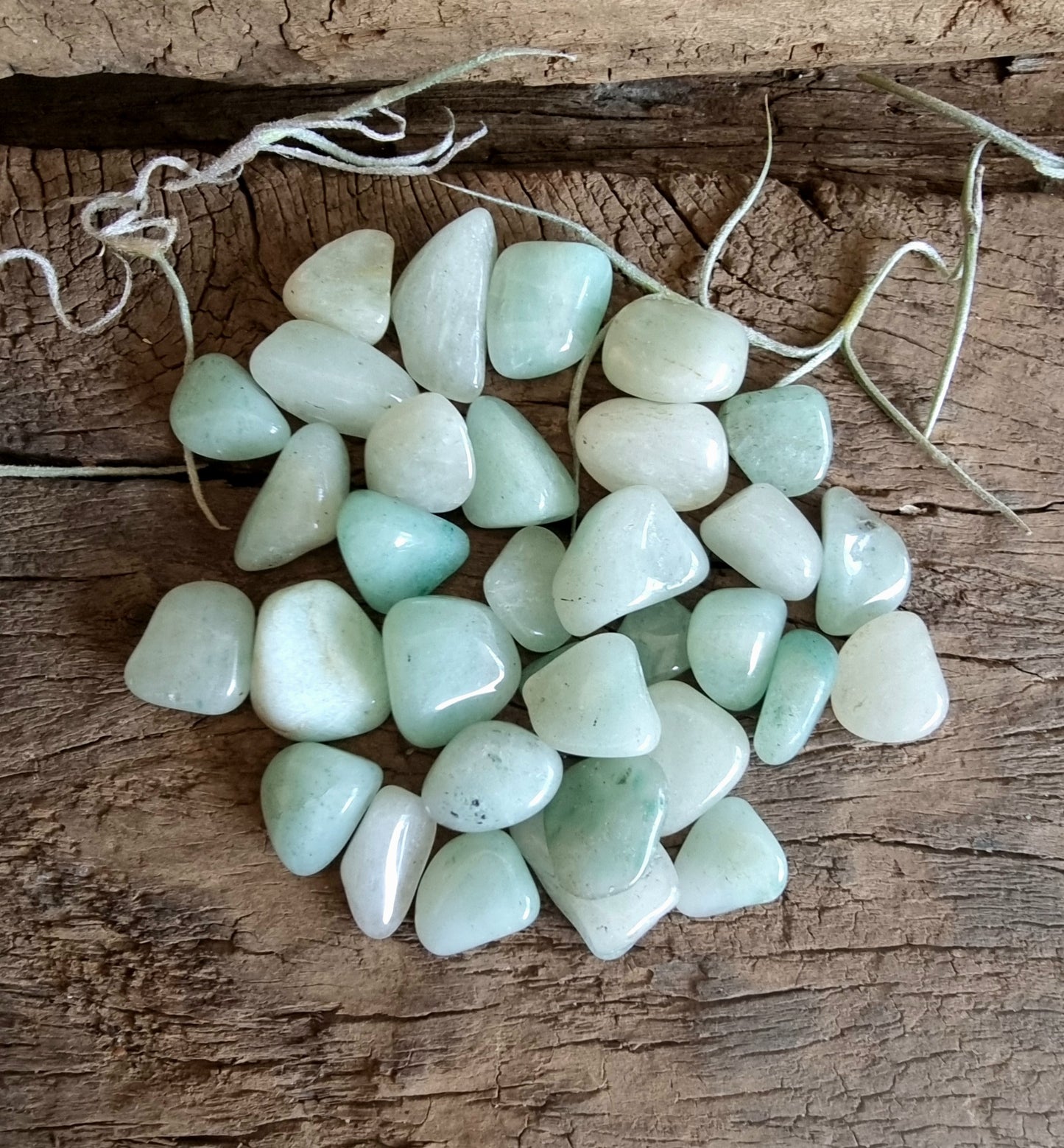 GREEN AVENTURINE MINI CRYSTAL GRID PACK - PROSPERITY