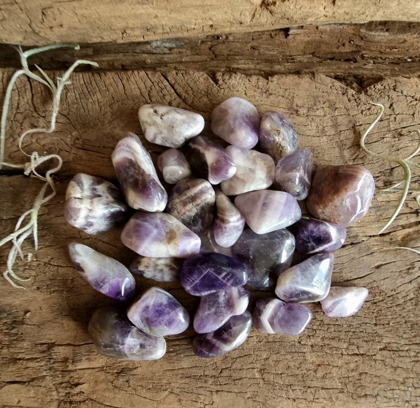 MINI CHEVRON AMETHYST CRYSTAL GRID PACK - INTUITION PROTECTION