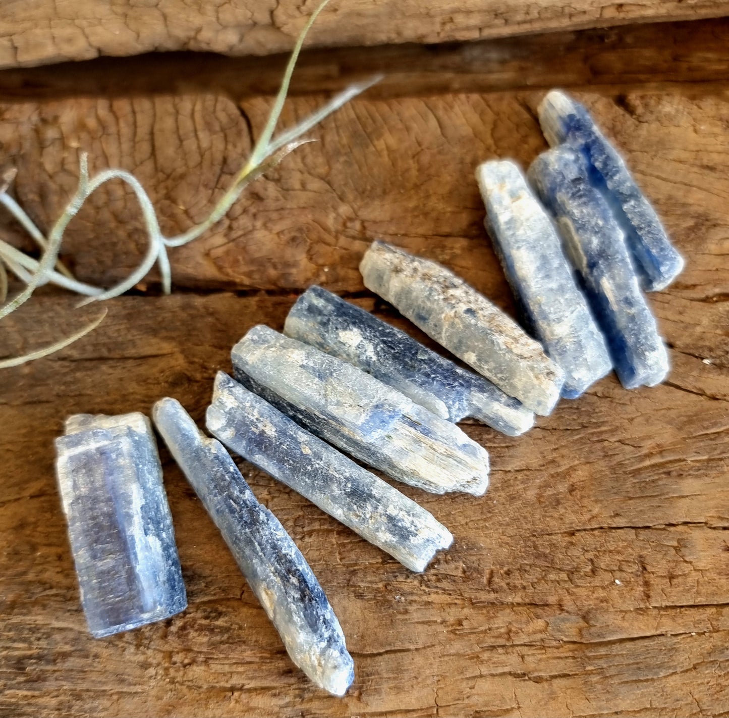 BLUE KYANITE STICKS 3-5cm - GROUNDING & ATTUNEMENT