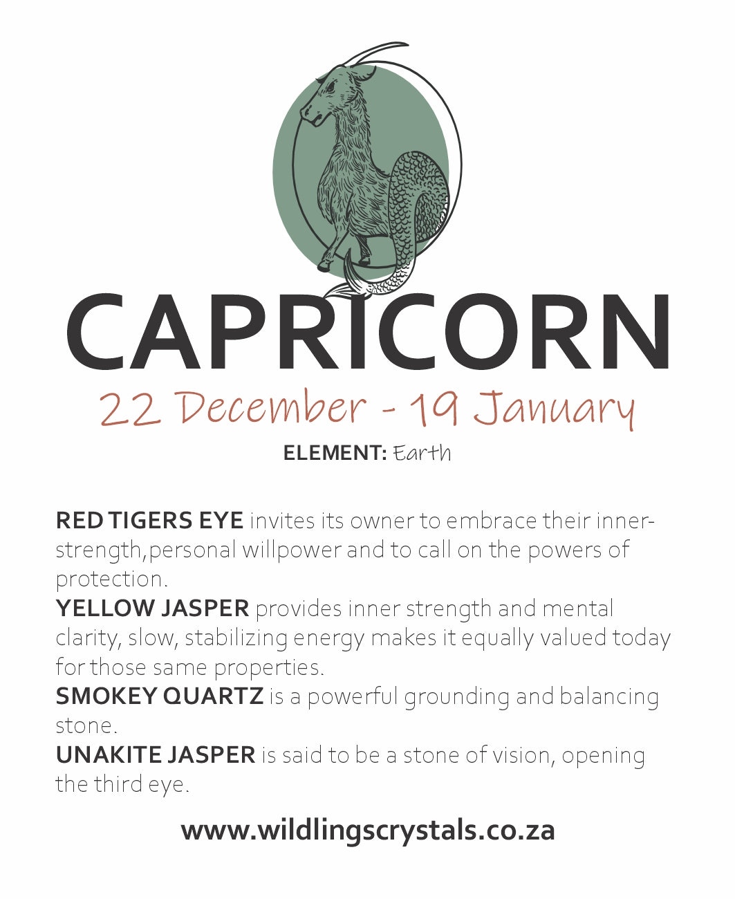CAPRICORN STONE SET - ASTROLOGY