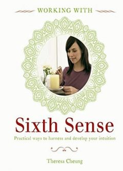 WORKING WITH SIXTH SENSE